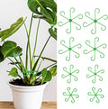 8pcs Plant Stem Support Climbing Houseplant Support Stakes for Indoor Plants Reusable Plastic Climbing Plant Support Plant Trellis Indoor Ideal Plant Support for Thriving Growth