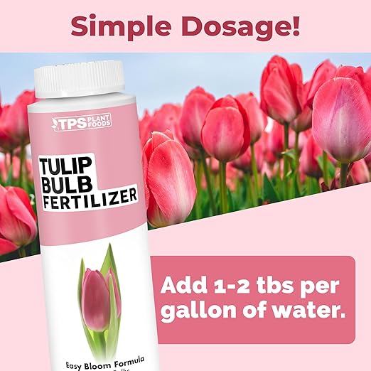 Tulip Bulb Fertilizer – Liquid Plant Food for Bigger Blooms & Stronger Bulb Development, 8 oz