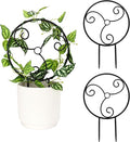 2 Pcs Small Indoor Metal Garden Plant Trellis for Climbing House Pot Plants, Black (Style F)