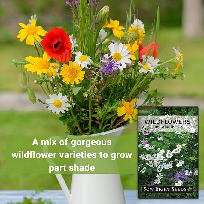 Sow Right Seeds - Wildflowers Seeds Mix for Planting in Partial Shade - Non-GMO Heirloom Varieties to Grow Wild Flower Garden - Perennial & Annual Flowers to Attract Pollinators - Colorful Blooms (1)