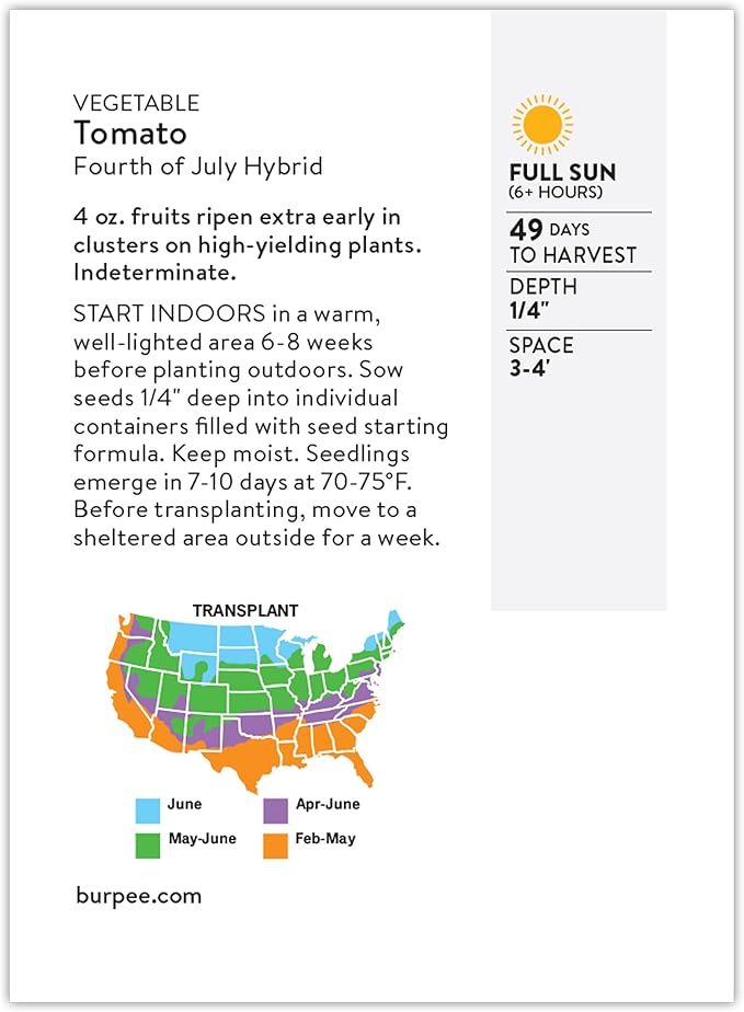 Burpee 'Fourth of July Hybrid' Tomato Seeds - Non-GMO, Indeterminate, Slicer Tomato, 90mg Seed Packet for Planting