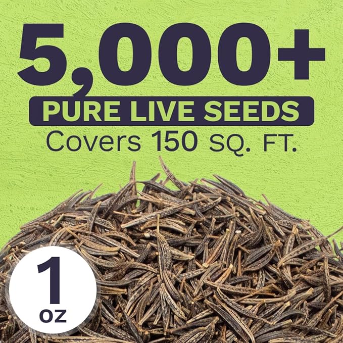 Dazzler Cosmos Wildflower Seeds - Extra Large 1 Ounce Packet - Over 5,000 Fresh Open Pollinated Non-GMO Flower Seeds - Stunning Bright Petals - Drought Tollerant