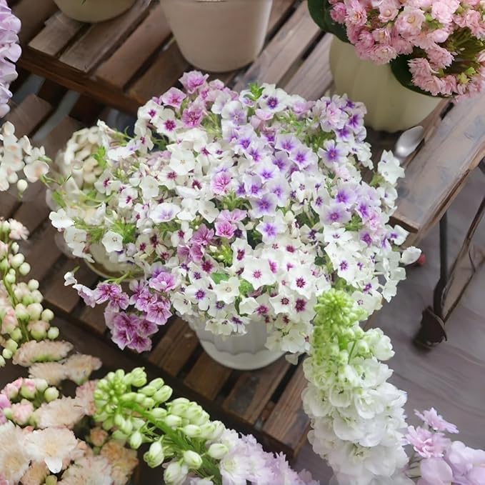 Phlox Paniculata Seeds: 1000 PCS Premium Mix – Drought-Resistant, Fragrant Blooms, Effortless Growth for Sunny/Shady Outdoor Spaces