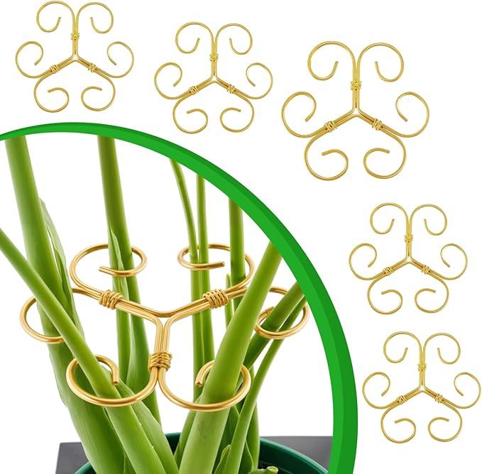 Plant Stem Supports, 5 Pack Iron Monstera Plant Support for Indoor Plants - Plant Stabilizer Stake Holder for Climbing Plants, Monstera Deliciosa, Pothos, Vine for Stable Growth