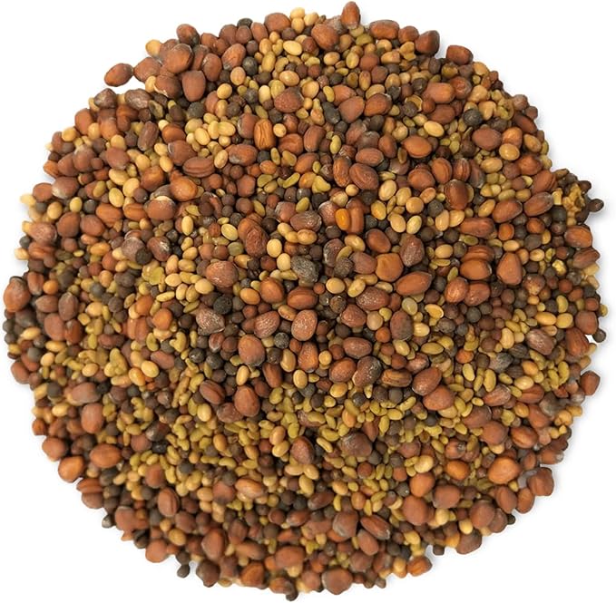 Food to Live - Salad Mix of Sprouting Seeds, 8 Ounces Broccoli, Clover, Radish, Alfalfa, Kosher, Raw, Vegan