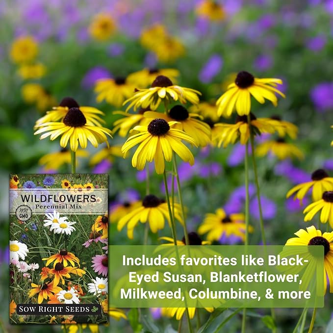 Sow Right Seeds - Perennial Wildflowers Seeds Mix for Planting - Non-GMO Heirloom Packet with Instructions to Plant & Grow a Wild Flower Garden - Colorful Blooms That Will Return Year After Year (1)