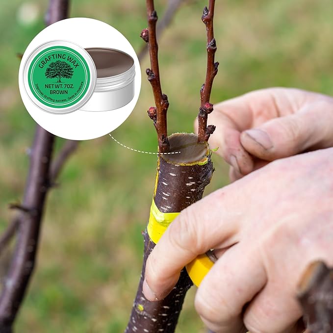 RattanView 2 Pcs 7 oz Grafting Wax Tin Weather Resistant Wax for Grafting Roses Fruit Bonsai Shrubs Wound Sealer Flexible Graft Sealer for Effective Tree Wound Repair(Classic)