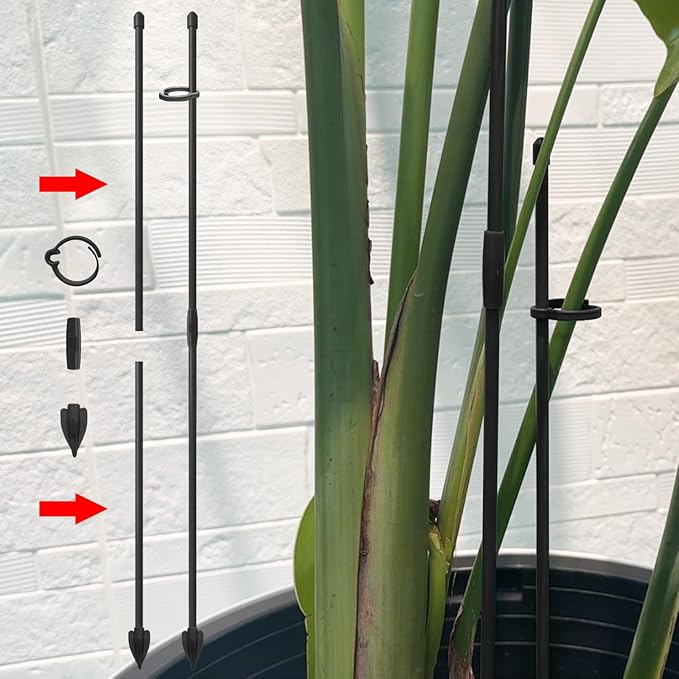 Plant Stakes for Indoor Plants, RIFNY 14 Inch Plant Support Stakes with Clips, Tall Adjustable Plant Sticks for Indoor Monstera Tomato Orchid Potted Plants Flower (16 PCS, Black)