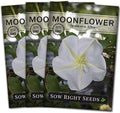 Sow Right Seeds - Moonflower (Ipomoea alba) Flower Seeds for Planting - Non-GMO Heirloom Flowers to Grow in Your Home Garden - Vining Plant for Beautiful Evening Blooms - Wonderful Gift (3)