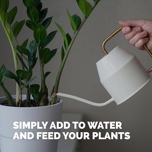 ZZ Plant Fertilizer – Liquid Plant Food for Glossy Green Leaves, Stronger Roots & Healthy New Growth, 8 oz