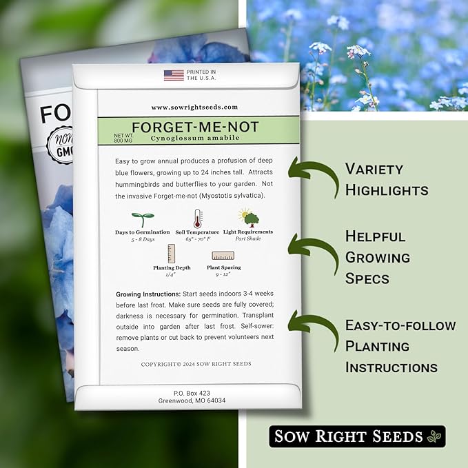 Sow Right Seeds - Forget-Me-Not Flower Seeds for Planting (Cynoglossum amabile) - Non-GMO Heirloom Packet with Instructions - Great to Pair with Cards of Remembrance - Small Blue Memory Blooms (1)