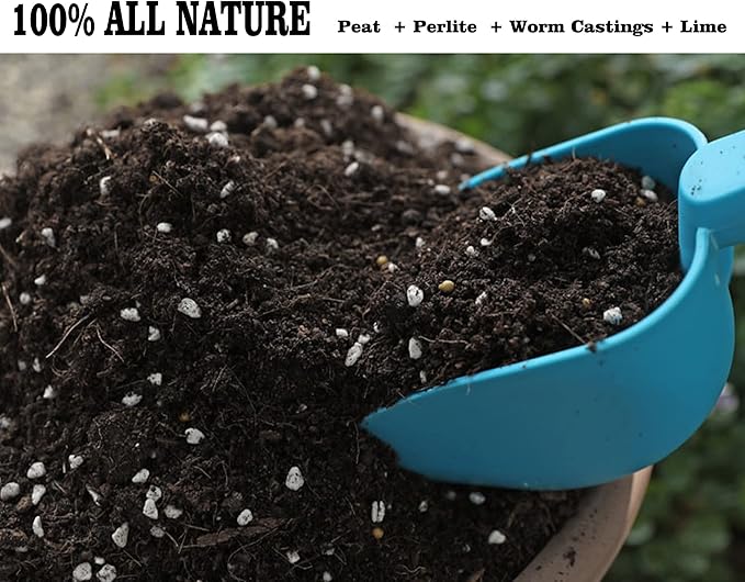 Houseplant Potting Mix 2qt, Fertilized, Perlite Soil for All Types of Indoor House Plants and Tropical Plant