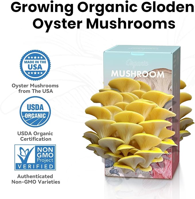 Organic Edible 4lbs Golden Oyster Mushroom Growing Kit, Made in USA, Double-Side Mushroom Grow Kit Indoor, Harvest Gourmet Mushrooms in 10 Days, Top Gardening Gift, Holiday Gift