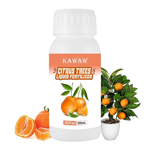 10oz Organic Citrus Tree Fertilizer - Microbial Probiotic Liquid Plant Food for Lemon, Lime, Orange & Olive Trees - Revitalizes Yellow Leaves & Roots