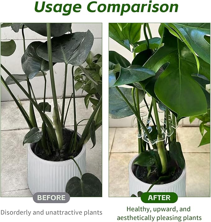 Plant Stem Support,Plastic Monstera Plant Support, Climbing Houseplant Stem Supports, Stem Hook Growth Accessories for Plant (Large-7.8in)