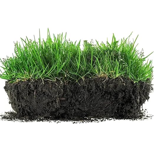 Viresta Soil Revitalizer - Viresta S-Oil Activator for Plants, Lawn & Garden Soil Conditioner - Plant Food Enhancer, Concentrated Humic Acid Formula - Promotes Root Growth & Nutrient Uptake (1Pcs)