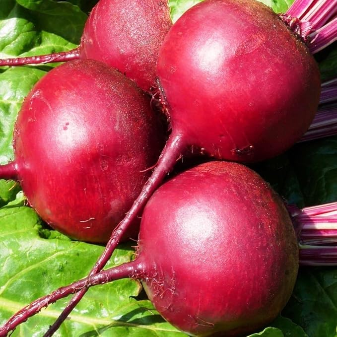 CEMEHA SEEDS - Seeds Beet Red Ball Round Beetroot Dark Non GMO Vegetable for Planting
