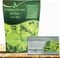 Outsidepride Lemon Basil Seeds for Planting - 1/4 lb. Easy to Grow Annual Herb Garden Seeds with Aromatic & Flavorful Foliage for Containers, Companion Planting, Indoors & Outdoors