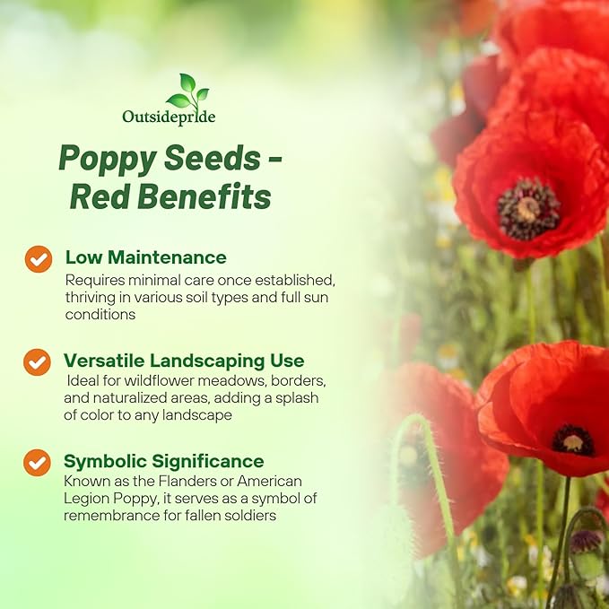 Outsidepride Red Poppy Seeds for Planting - 1 lb. Annual, Drought-Tolerant & Easy to Grow Wildflower Seeds with Vibrant Red Blooms for Landscaping, & Pollinator Garden