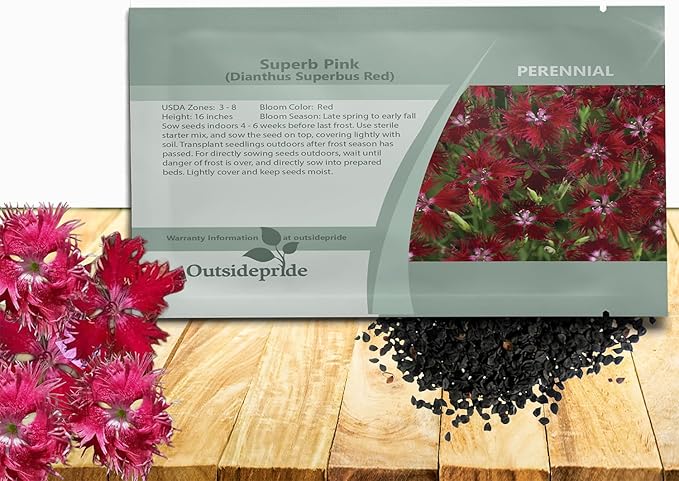Outsidepride Superbus Red Dianthus Seeds for Planting - 5000 Pcs Easy to Grow & Hardy Perennial Flower Seeds with Colorful & Fragrant Blooms, for Mixed Plantings, Containers, & Pollinator Gardens