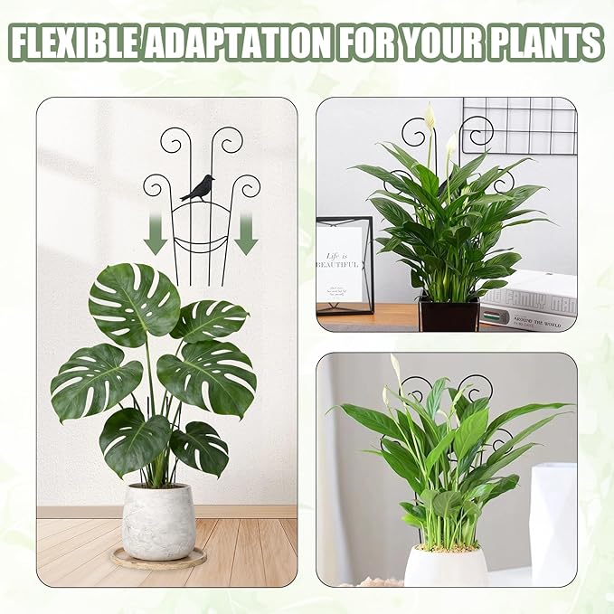 2 Set 30In Taller Plant Trellis for Climbing Plants Outdoor Expandable Metal Indoor Plant Trellis for Potted Plants Tall Climbing Monstera Support Stakes for Garden Ivy Pothos Hoya Flowers(Bird)