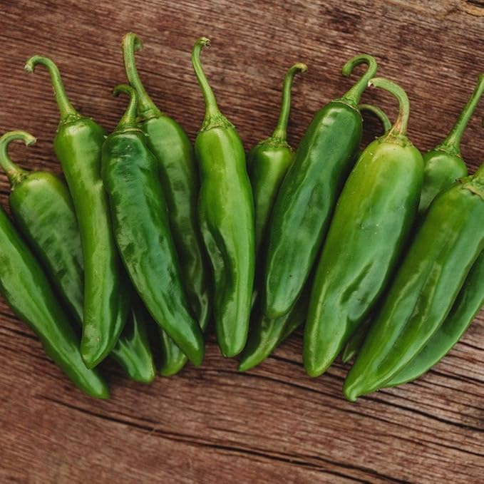 Anaheim Pepper - 25 Seeds - Popular New Mexican Chili Variety, Spicy Hot Peppers, Non-GMO Heirloom Green Chili Seeds for Planting in The Home Garden, Thresh Seed Company