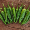 Anaheim Pepper - 25 Seeds - Popular New Mexican Chili Variety, Spicy Hot Peppers, Non-GMO Heirloom Green Chili Seeds for Planting in The Home Garden, Thresh Seed Company