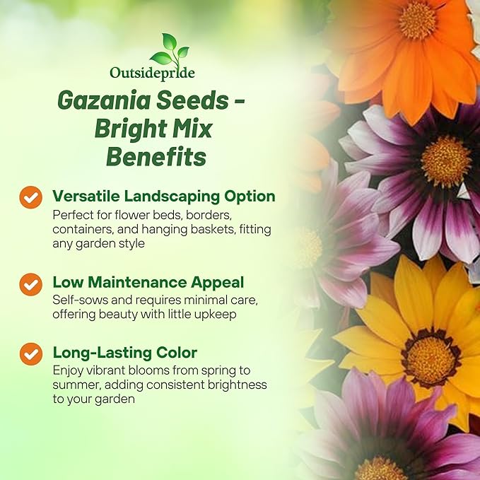 Outsidepride New Day Bright Mixed Gazania Seeds for Planting – 25 Pcs Perennial, Low-Maintenance, Drought-Tolerant Ground Cover Seeds for Vibrant Summer & Fall Flowers, Great for Outdoor Gardens