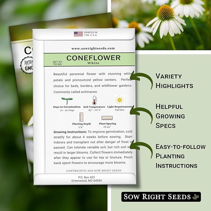 Sow Right Seeds - White Coneflower Echinacea Seeds for Planting - Non GMO Heirloom - Variety - Perennial Ideal for Outdoor Gardening - Hardy Flowers for Pollinators - Wildflower Addition (1)