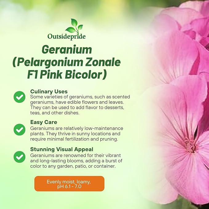 Outsidepride Pink Bicolor Geranium Seeds for Planting - 25 Pcs Annual, Heat & Drought Tolerant Flower Seeds with Green Foliage & Pink Blooms for Pots, Borders & Lush Summer Garden Displays