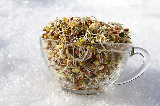Todd's Seeds Superfood, Beginner's Sprouting Seed Mix for Microgreens, Heirloom, Non-GMO, Purple Kohlrabi, Collards, Radish Seeds, Turnip and Broccoli Seeds Salad Mix (1/2 Pound)