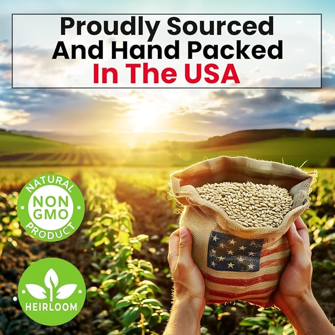 5 Herb Seeds Variety Kit, Oregano, Cilantro, Parsley, Basil, Chives