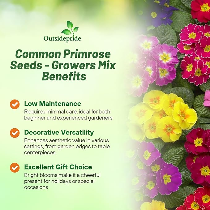 Outsidepride Danova Grower Mix Common Primrose Seeds - 50 Pcs Annual, Hardy, Easy to Grow & Low Maintenance Flower Seeds for Planting Vibrant Soft Blooms, for Containers, Borders & Erosion Control
