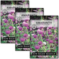 Sow Right Seeds - Tall Mixed Globe Amaranth Seeds for Planting - Non-GMO Heirloom Packet with Instructions to Grow an Outdoor Home Flower Garden - Gomphrena Pompom Flowers in Red, Pink, White (3)
