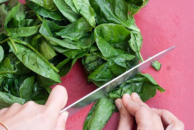 Seeds Four Seasin Spinach Viroflay - Heirloom Vegetable - GMO Free