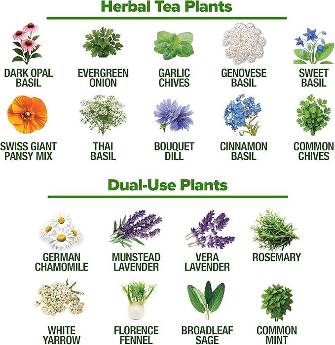 HOME GROWN Herb Seeds 32 Medicinal Herbs and Tea Variety Pack – Annual & Perennial Herb Seeds for Planting Indoors & Outdoor – Non-GMO, Heirloom Seeds, Easy to Grow, High Germination Garden Kit