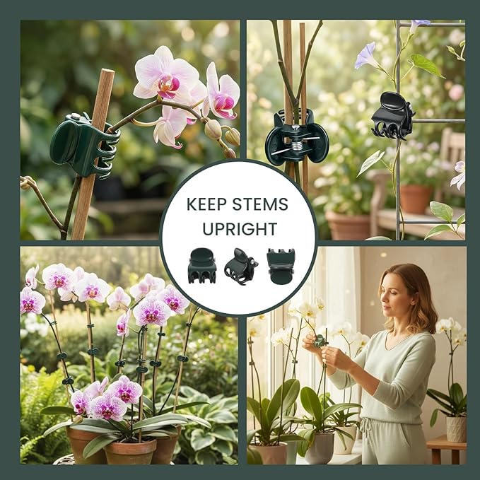 50 Pcs Large Orchid Clips - 1.2-inch Max Opening, Dark Green Heavy-Duty Plant Support Clips, Gentle Hold for Thick Stems and Large Orchids Like Cattleya and Dendrobium