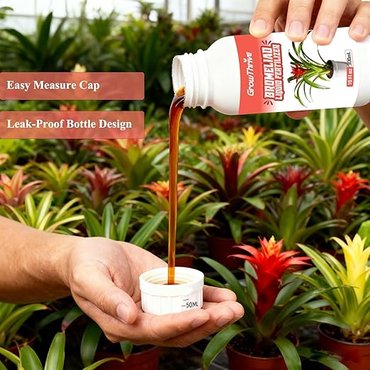 Bromeliad Liquid Fertilizer – 10 oz Organic Plant Food for Bromeliads, Air Plants & Tillandsia | Natural Probiotic Formula, Enhances Leaf Growth, Root Strength & Flower Color
