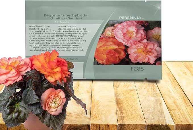 Outsidepride Sunrise Limitless Begonia Seeds for Planting - 50 Pcs Perennial Flower Seeds with Large Blooms, Arching & Pendulous Growth Habit, for Containers, Hanging Baskets, or Landscape Plantings