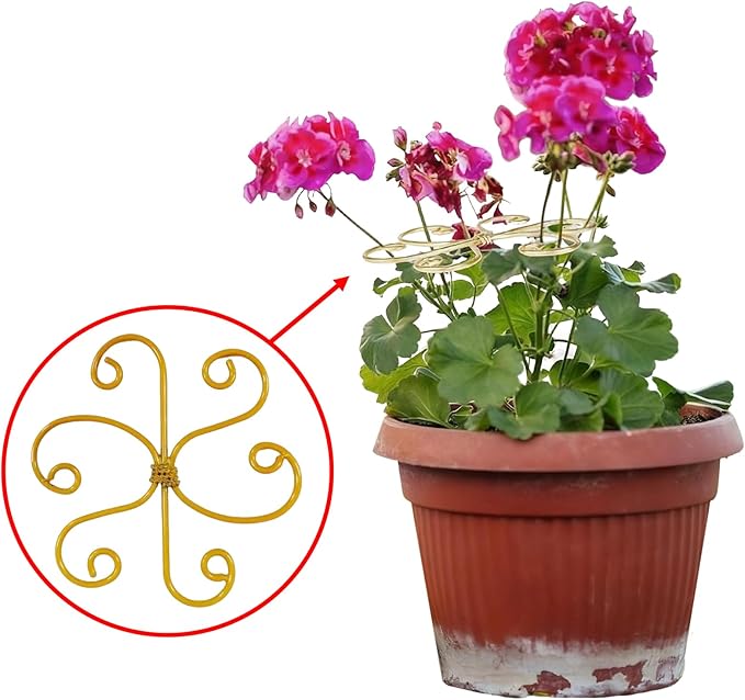 Iron Monstera Plant Support, Plant Stakes and Supports for Indoor Plants, Climbing Plant Stem Stabilizer