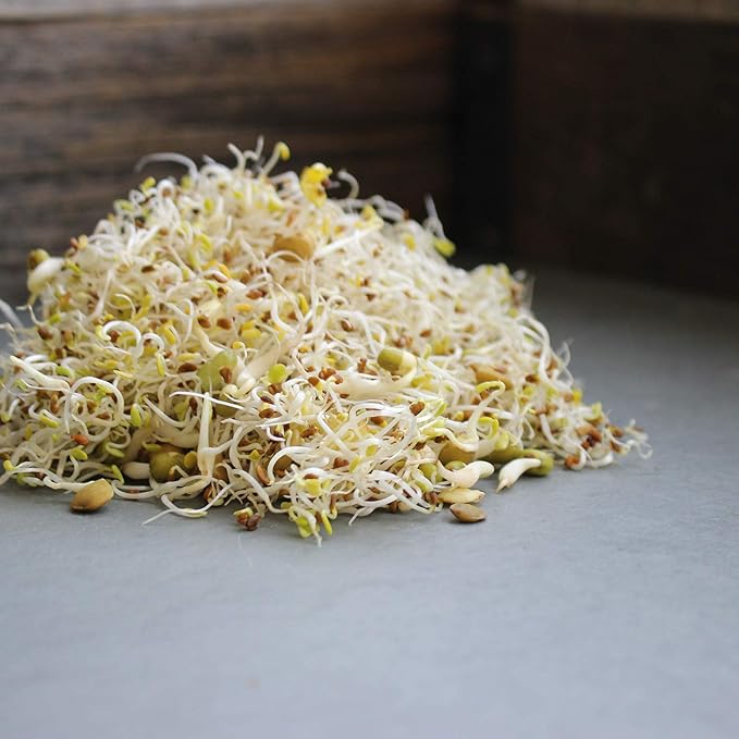 Handy Pantry Organic Salad Sprouting & Microgreens Mix – 16 Oz – Non-GMO, High-Germination Blend of Alfalfa, Broccoli, Lentil, Mung Bean & Radish Seed – Fresh, Crisp Sprouts & Nutritious Micro Green