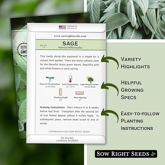 Sow Right Seeds - Sage Seeds for Planting - Non-GMO Heirloom Packet with Instructions to Plant and Grow Kitchen Herb Garden - Indoor or Outdoor - Great for Pollinators - Culinary Seasoning (2)