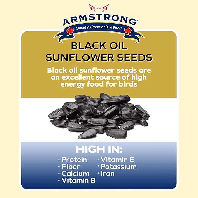 Armstrong Bird Food Black Oil Sunflower Bird Seed, 8 Pounds - for Northern Cardinals, Blue Jays and Hairy Woodpeckers - Ideal for Outside Feeders