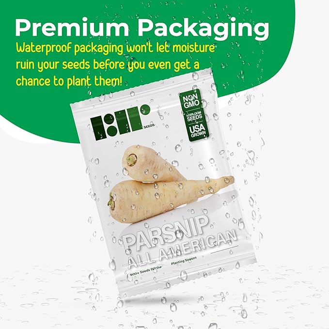 500+ Parsnip Seeds for Planting - All American - Heirloom Non-GMO USA Grown by RDR Seeds