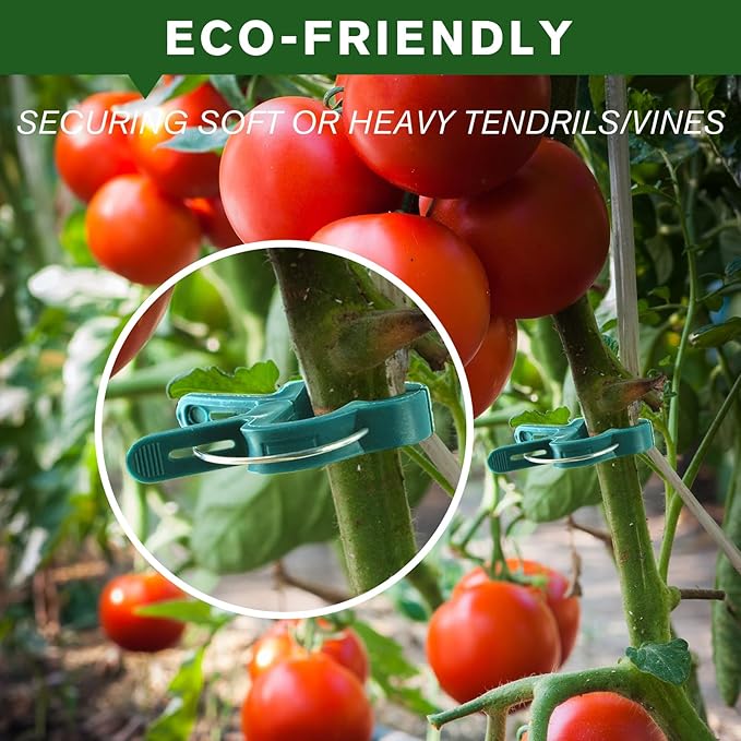 A Plant Clamp Used for Climbing Plants,Horticultural Clip Used to Support Climbing of Flower Stems, Vines, Vegetables, and Tomatoes,Vine Clip for Garden Vine Training (Green, 120big)