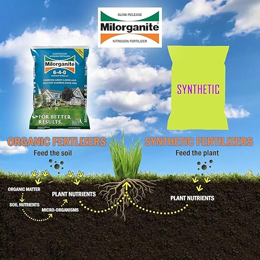 Milorganite All-Purpose Eco-Friendly Slow-Release Nitrogen 6-4-0 Fertilizer, 32 lb Bag - for Lawns, Flowers, and Gardens - Includes Bonus Feeding & Spreader Tips Brochure