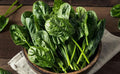Seeds Four Seasin Spinach Viroflay - Heirloom Vegetable - GMO Free