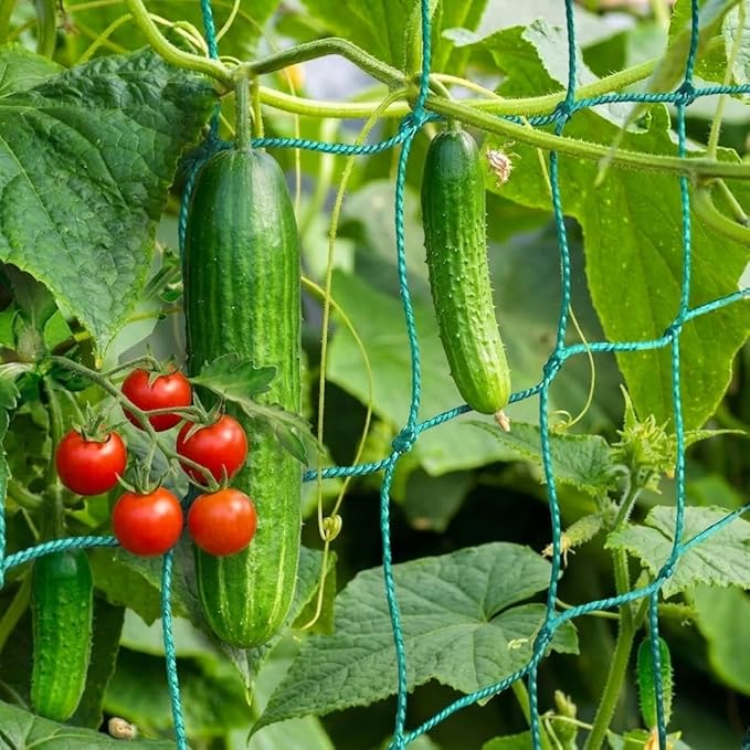 Trellis Netting, Heavy-Duty Garden Grow Netting for Climbing Plants, Outdoor Indoor Net for Cucumber, Tomatoes, Beans, Clematis, Fruits & Vegetables, Climbing Vining Plants (24.6' x 6.6'Ft)