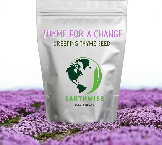 Earthwise Thyme for a Change – Wild Creeping Thyme Seeds – 1/2 oz (~8000 Seeds), Drought-Tolerant Ground Cover – Covers 250 sq. ft.