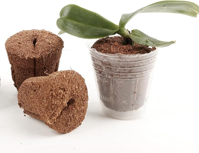 50pcs 1.5 Inch Phalaenopsis Orchid Growing Plugs, Hydroponic Growing Media for 1.5 Inch Orchid Cups, Breathable Planting Cubes for Orchid Seedlings and Transplanting